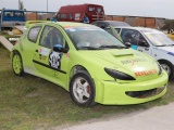 Peugeot 206 1,6 - Szlalom  Széria 1,6 és Junior Bajnokság - Amrein Roland - 2016